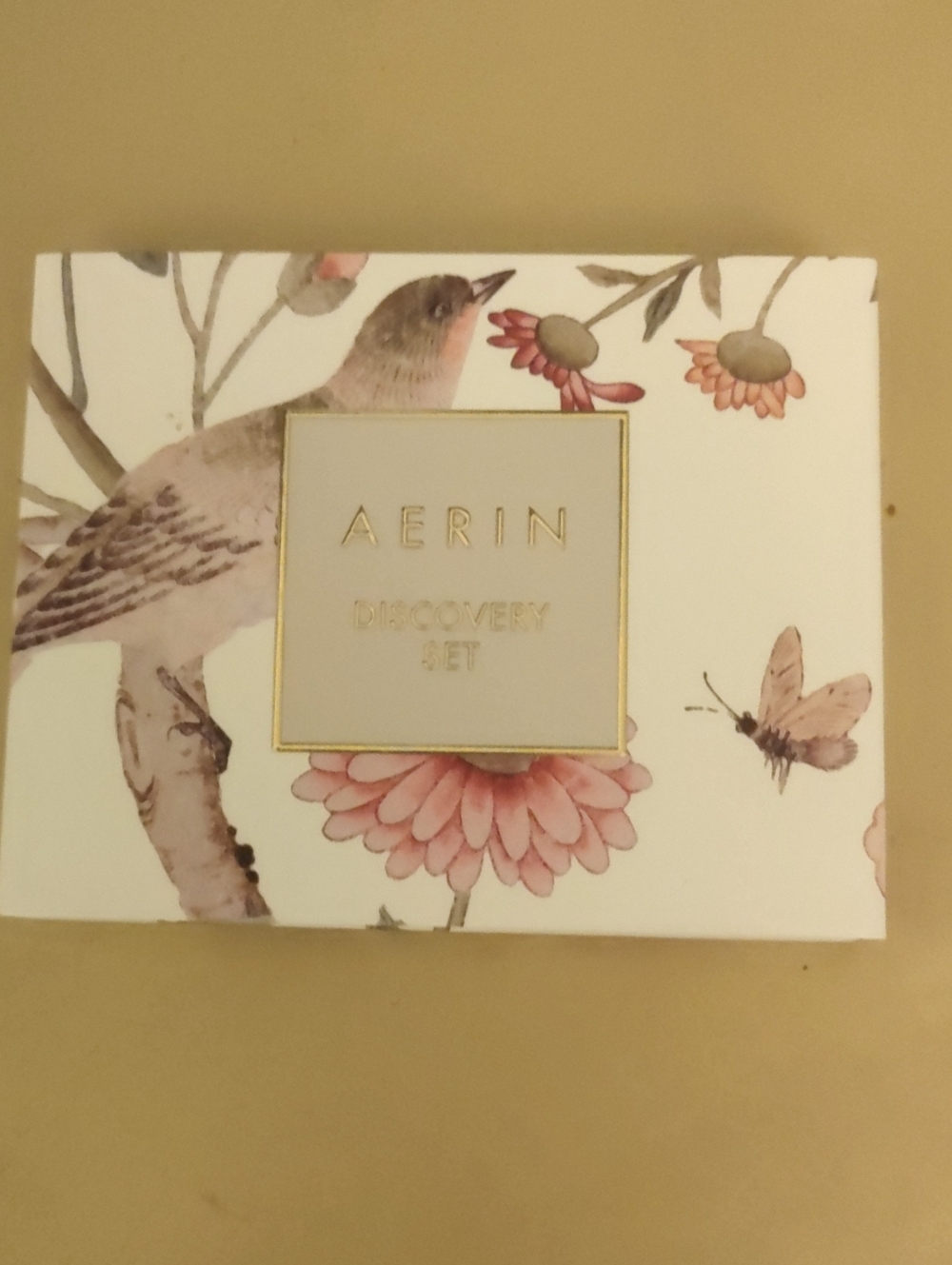 Aerin discovery set